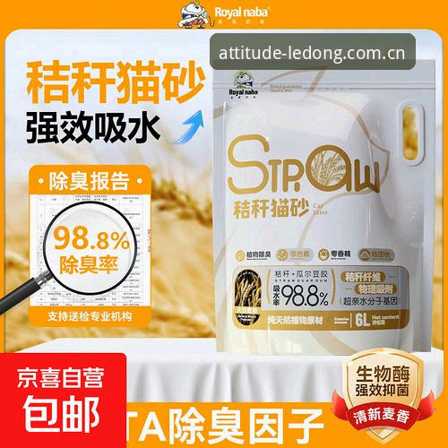 98.8%。这个数字是挪威统计研究机构跟《VG》合作算出来的出线概率，听着相当唬人。但挪威主帅索尔巴肯在赛前发布会上直接泼了盆冷水，原话是“那个统计机构完全没用”。作为圈内人，我得说这老头儿通透得很——数据模型在杯赛小组赛阶段就是纸上谈兵，尤其当你手里只有一场4–1赢伊拉克的3分时，那概率还不如天气预报准。